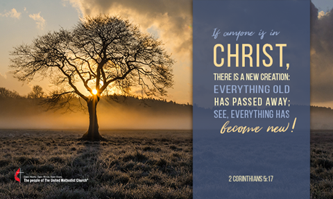 new-year-new-beginning-2Cor-tree-645