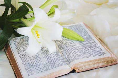 easterlilly and bible