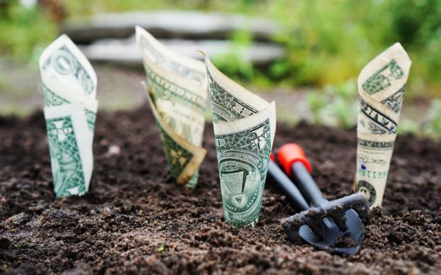 4 awesome ideas to boost stewardship campaigns