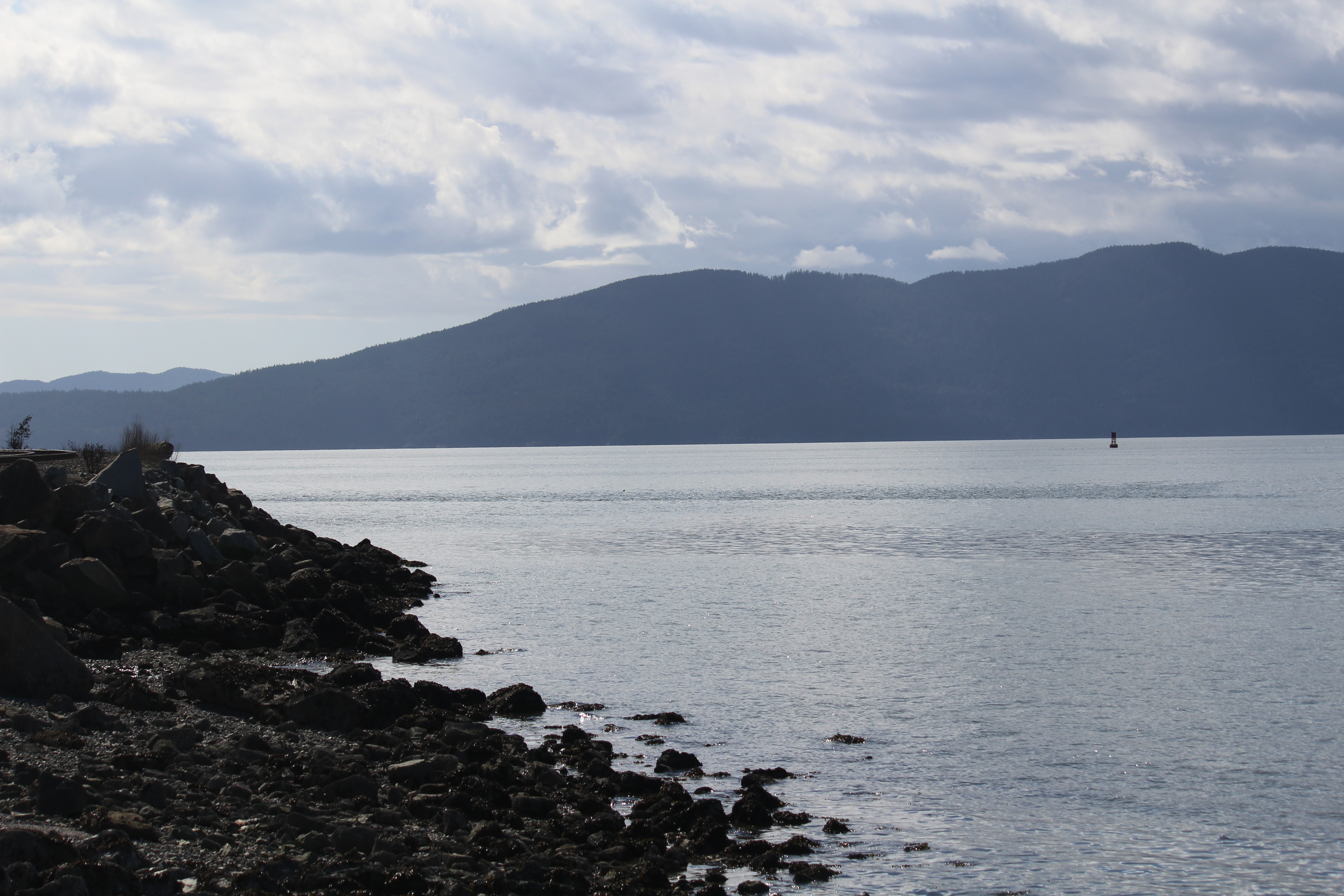  Nature photos from Bellingham, Washington. Photo by Kay Panovec 