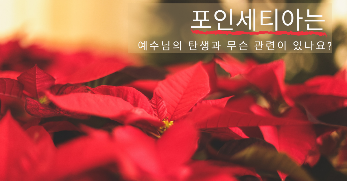 사진, 제시카 페이들, 언스플레쉬. 사진편집, 연합감리교회 공보부