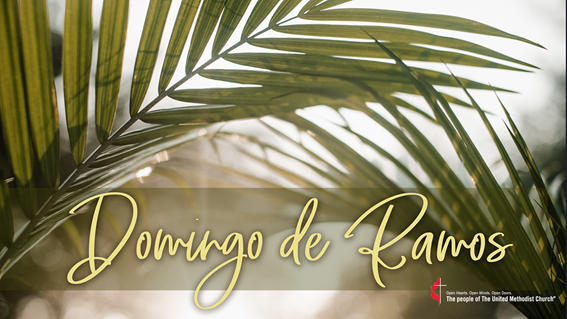 El domingo de ramos recordamos la entrada triunfal de Jesús a Jerusalén, aclamado por la multitud, días antes de su pasión, muerte y resurrección