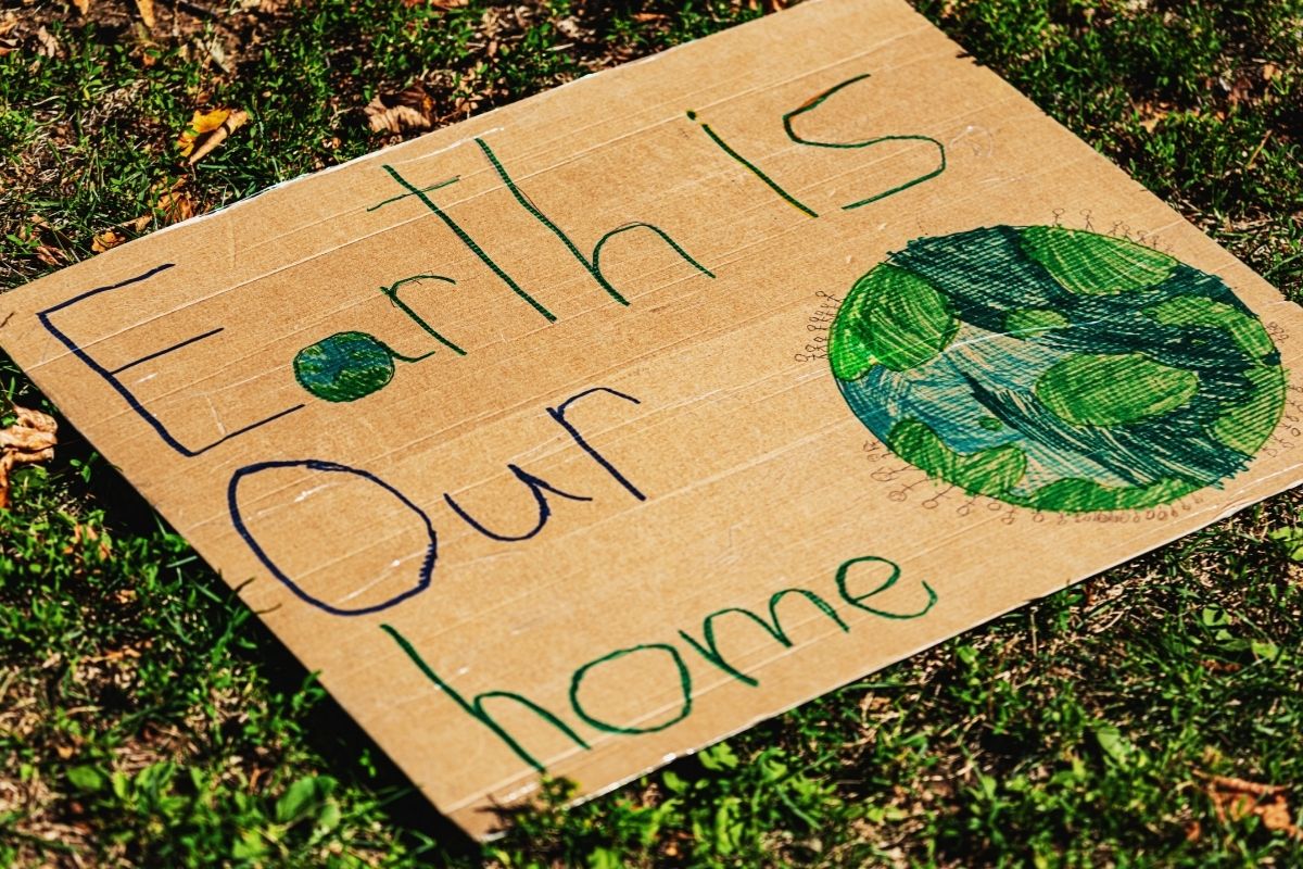 Image by shaunl for Getty Images courtesy of Canva Pro.