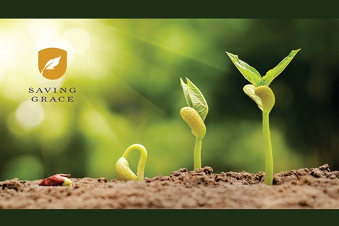 Saving Grace offers clergy, laity and congregations a Wesleyan approach to financial planning. Image courtesy of the United Methodist Publishing House’s Abingdon Press.