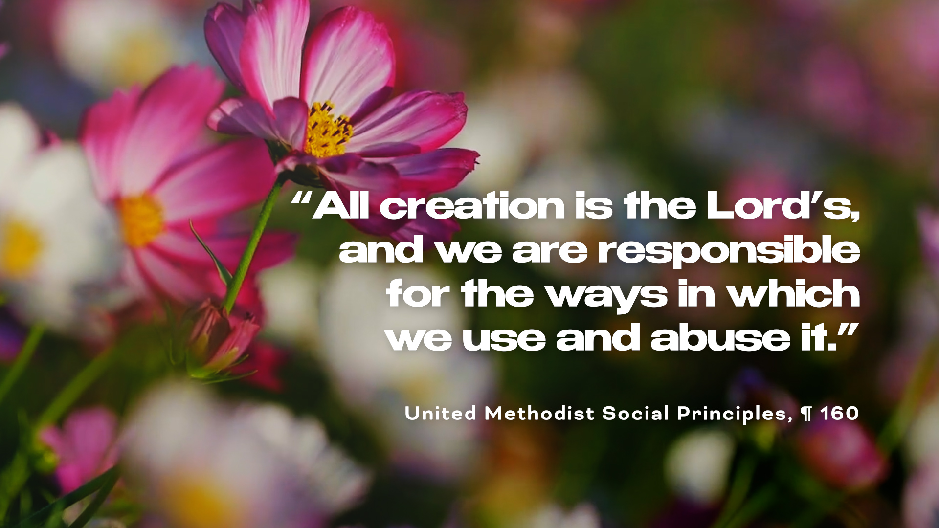 10 ways to take care of God’s creation