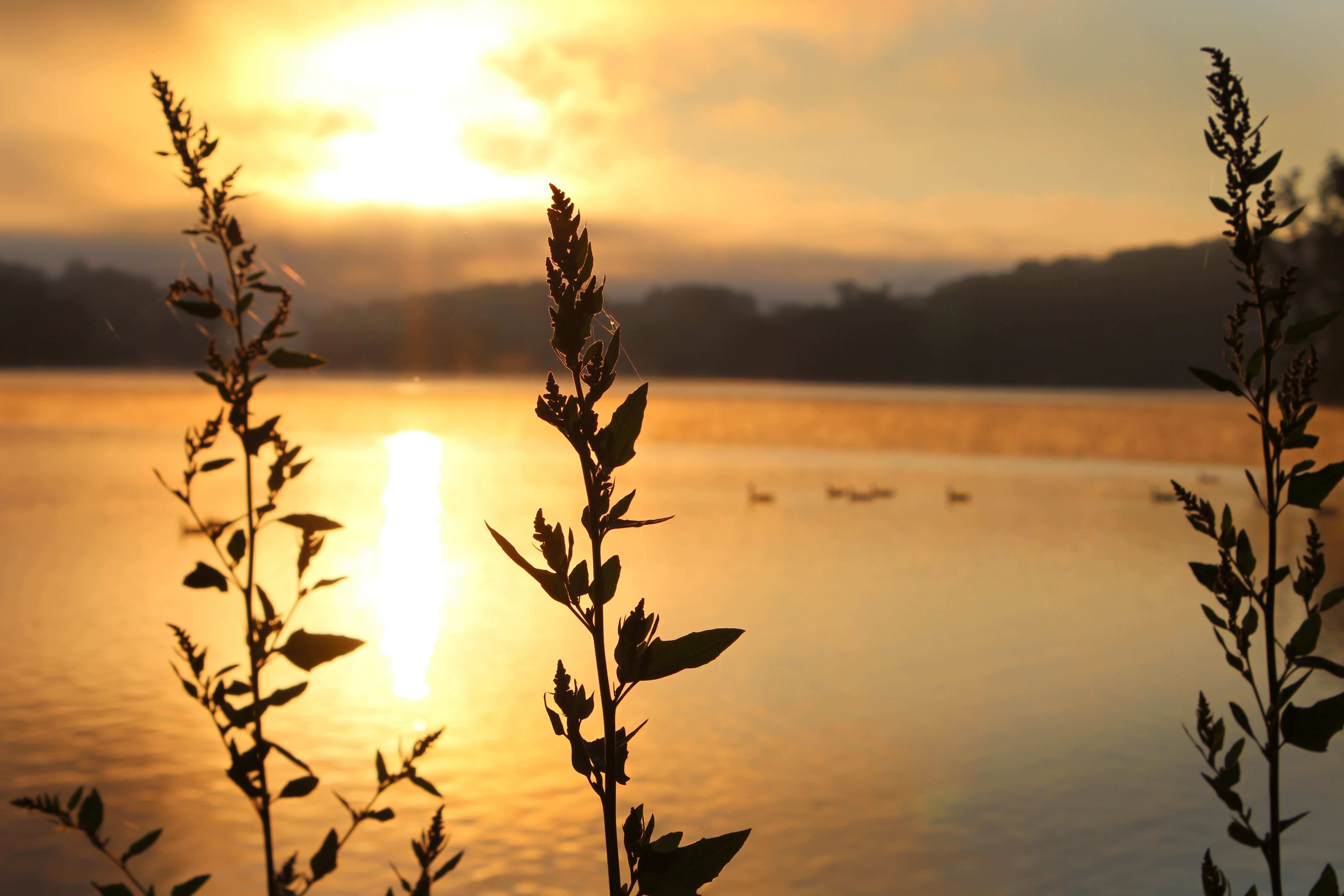 A United Methodist Communications photo by Kay Panovec
