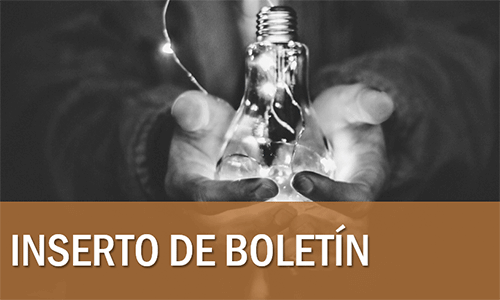 2024_UMSD_Bulletin_insert_tag_grid_Spanish_500x300