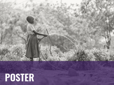 2025_2028_PWJS_Poster