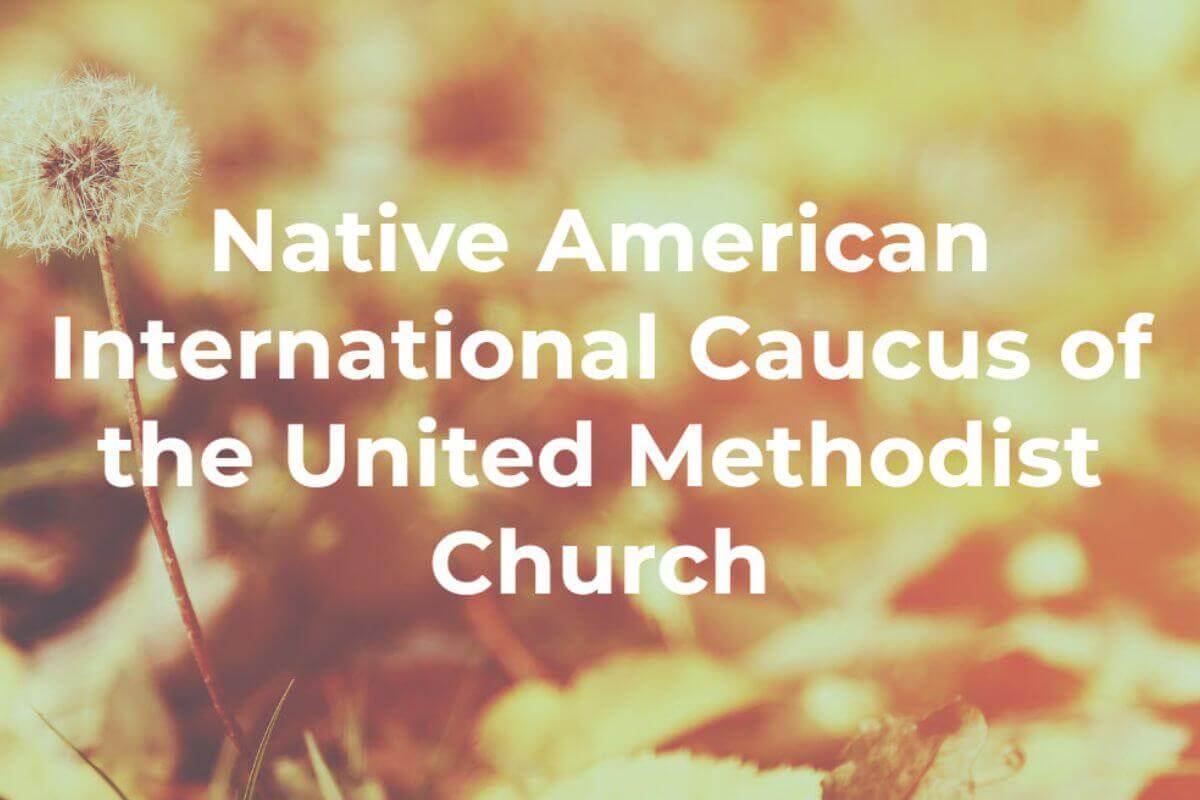 NAIC of the UMC