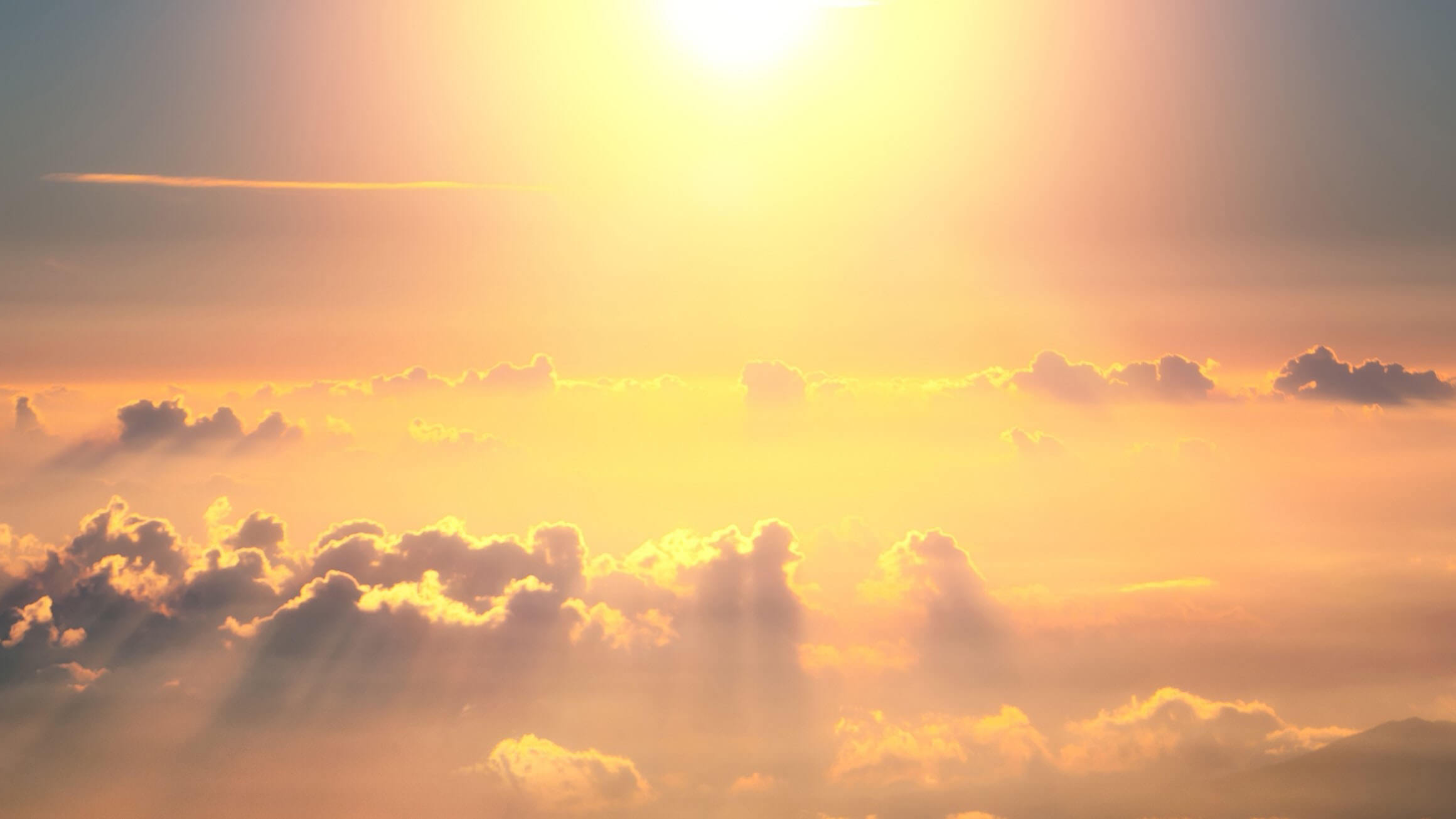 Image courtesy of Wespath.