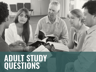 2025_2028_WCS_Adult_Questions_400x300