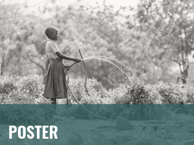 2025_2028_WCS_Poster_400x300